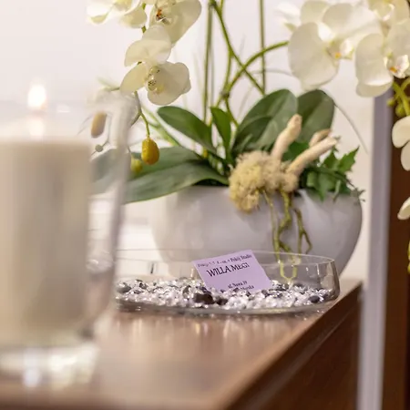 Megi Kwatera prywatna Krynica Morska